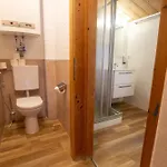 Waterfront Zell Am - Steinbock צל-אם-זי