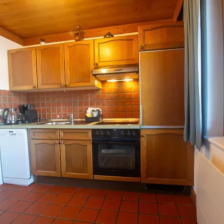 Waterfront Zell Am - Steinbock * ツェル アム ゼー