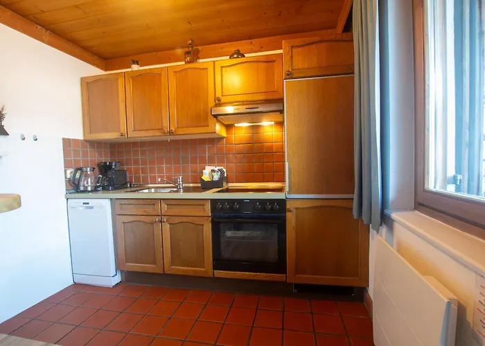 Waterfront Zell Am - Steinbock * Τσελ αμ Ζέε