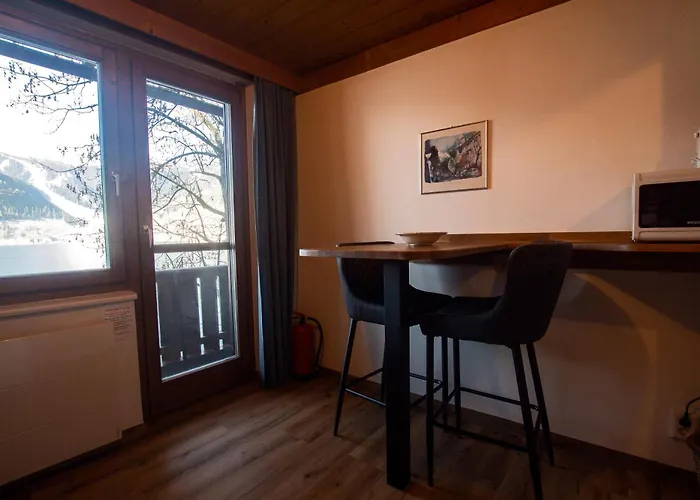 Waterfront Zell Am - Steinbock Apartman