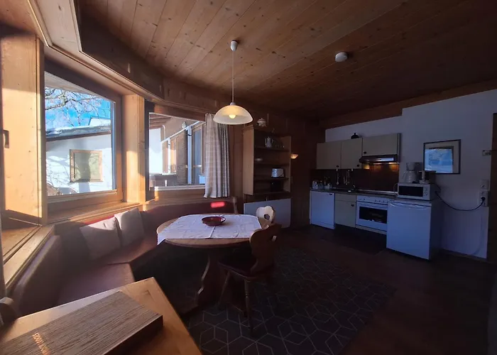 Διαμέρισμα Waterfront Zell Am - Steinbock